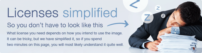 License Agreements - License and restrictions here are AMAZING