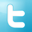 Log in with your Twitter account