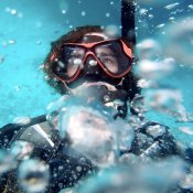 Image photographer - Kobus L.