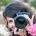 Image photographer - Teresa A.