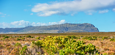 Cape Point National Park