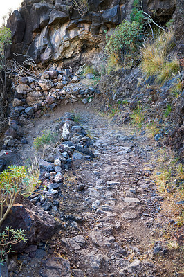 Mountain trails - La Palma, Canary Islands