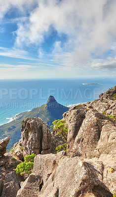 Table mountain and Lions Head
