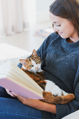 Happiness is a fluffy cat and a great book